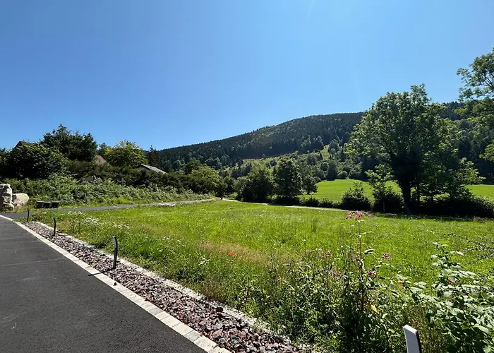Le Grand Perce Neige & Jacuzzi A Proximite De Gerardmer *